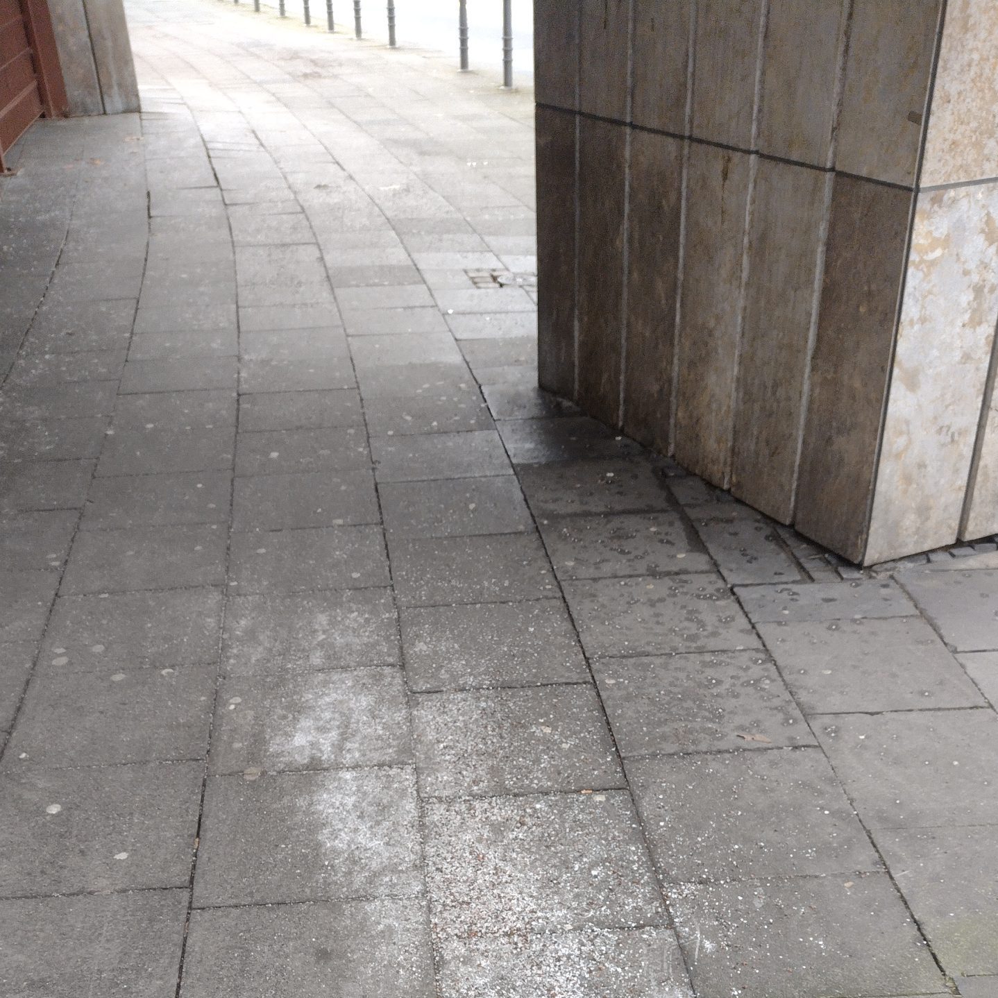 IMG_20250214_125256753